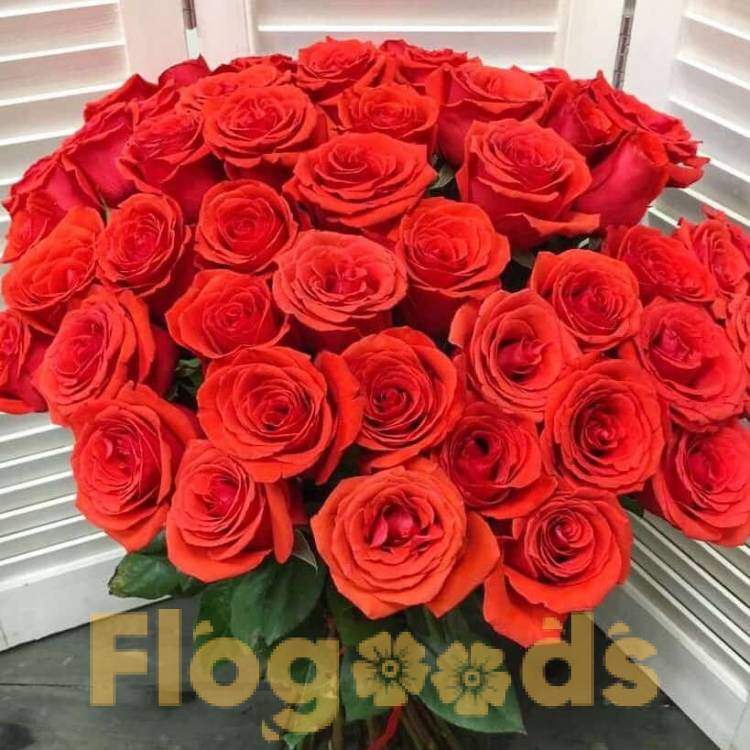 51 красная роза за 19 599 руб.